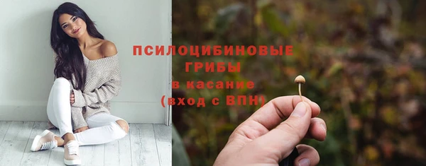PSILOCYBIN Лихославль
