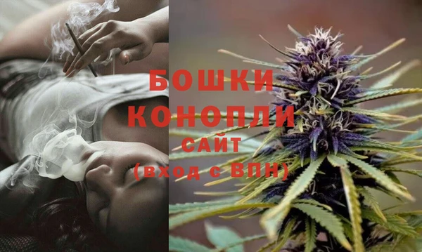 PSILOCYBIN Лихославль