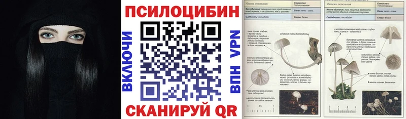 Псилоцибиновые грибы прущие грибы  Купить закладки  Гуково 